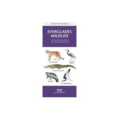 Everglades Wildlife by James Kavanagh (Wallchart - Waterford Pr)