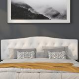 Charlton Home® Ciriaca Arched Button Tufted Headboard Upholstered/Metal/Polyester in White | 56.25 H x 77.75 W x 3 D in | Wayfair