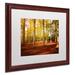 Millwood Pines Rhythm by Philippe Sainte-Laudy - Picture Frame Photograph Print on Canvas in Green | 16 H x 20 W x 0.5 D in | Wayfair