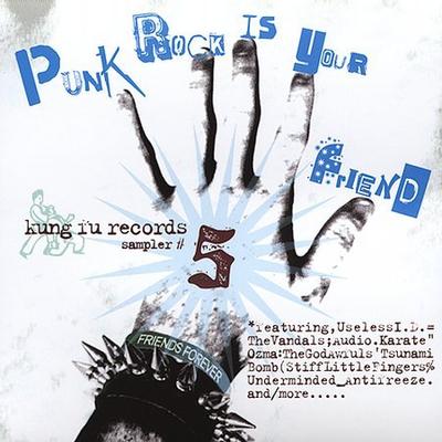 Punk Rock Is Your Friend, Vol. 5 by Various Artists (CD - 07/13/2004)