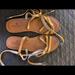 American Eagle Outfitters Shoes | American Eagle Sandals Women’s Like New Size 9 | Color: Brown | Size: 9