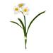 Rosalind Wheeler Artificial Narcissus Spray Silk/Plastic/Fabric | 13 H x 4 W x 4 D in | Wayfair D8FEEE0A943841809D7F241CE7C456ED