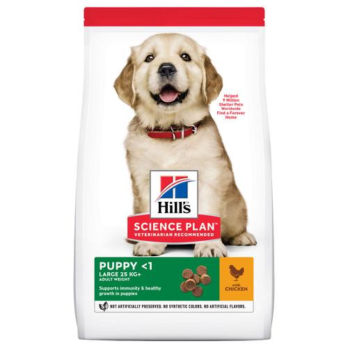 2 x 14,5 kg Puppy Large Breed Chicken Science Plan Hill's Hundefutter trocken