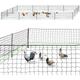 Kit clôture filet à poules 50 m avec porte 15 piquets double pointes - Noir