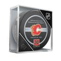 Mike Vernon Calgary Flames Unsigned InGlasCo February 6 2007 Jersey Retirement Night Official Game Puck