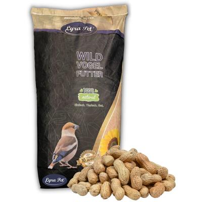 10 kg Lyra Pet Erdnusskerne in Schoten
