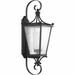 Fleur De Lis Living Alexandra Black Seeded Glass Outdoor Wall Lantern Aluminum/Metal in Black/Gray | 31 H x 10 W x 11.38 D in | Wayfair