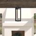 Joss & Main Melvin Oil Rubbed Bronze 1 -Bulb 21" H Outdoor Hanging Lantern Glass/Aluminium/Metal in Brown/Gray | 21 H x 7.5 W x 7.5 D in | Wayfair