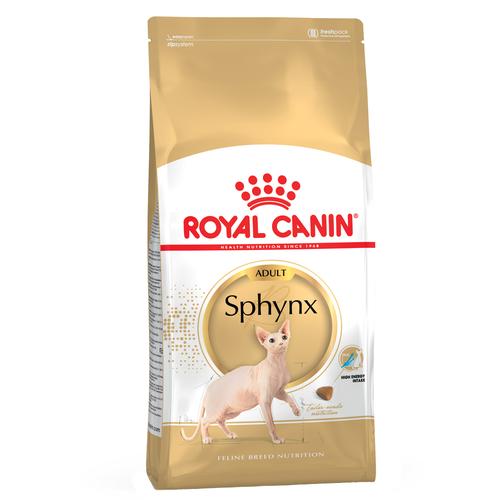 2x10kg Sphynx Adult Royal Canin Katzenfutter trocken