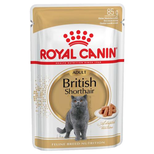 96x85g British Shorthair Royal Canin Katzenfutter