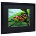 August Grove® Cream Spotted Tigerwing by Kurt Shaffer - Picture Frame Photograph Print on Canvas Canvas | 16 H x 20 W x 0.5 D in | Wayfair
