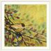 Red Barrel Studio® Nolani Goldfinch Resting by Jennifer Lommers - Painting Print in Brown | 38 H x 38 W x 1 D in | Wayfair