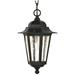 Nuvo Lighting 63476 - 1 Light Textured Black Clear Seed Glass Shade Hanging Lantern (Cornerstone 1 Lt Hanging Lantern)