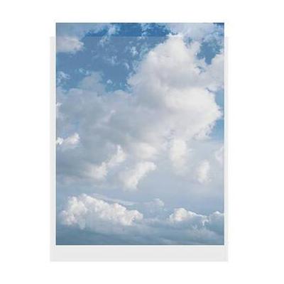 ClearFile Print Protector (13 x 19