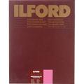 Ilford Multigrade FB Warmtone Paper (Glossy, 42" x 32' Roll) 1893946