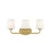 Savoy House Capra 22 Inch 3 Light Bath Vanity Light - 8-4090-3-322