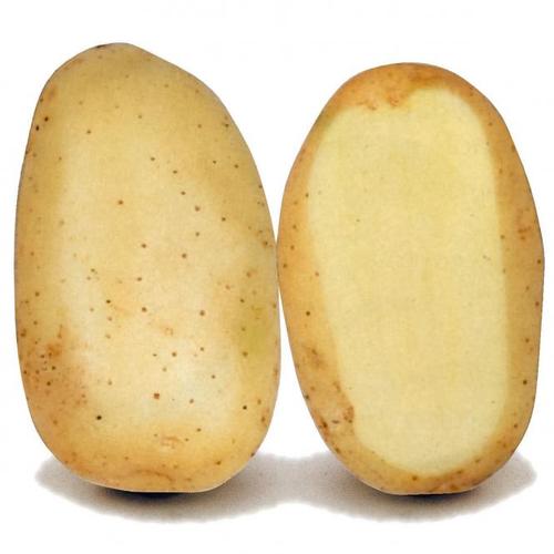 Kartoffel Sava, 5 kg