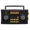 Sangean AM/FM-RDS Portable Radio Specially Designed for the Visually Impaired with Helpful Black PR-D17