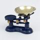 VICTOR Traditional CAST Iron Scales Blue with Brass Scoop