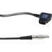 Camera Motion Research D-Tap to 2-Pin LEMO Power Cable with Strain Relief (36") DT2LE36