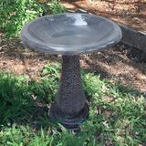 Astoria Grand Birds and Beyond 19" D x 24" H Fiber Clay Birdbath Perugia Collection Plastic in Gray | 24 H x 19 W x 19 D in | Wayfair