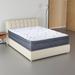 Queen Firm 12" Innerspring Mattress - Spinal Solution & Box Spring | 75 H x 76 W 12 D in Wayfair SC60-5/0-2