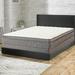 Twin Medium 10" Innerspring Mattress - Spinal Solution & Box Spring | 74 H x 53 W 10 D in Wayfair SC20-3/3-2