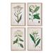 Libourne 'Meadow Botanical' - 4 Piece Picture Frame Print Set on in Green Laurel Foundry Modern Farmhouse® | 24.5 H x 15.75 W x 0.75 D in | Wayfair