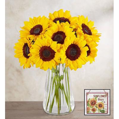1-800-Flowers Flower Delivery Sunflower Bouquet 10 Stems W/ Clear Vase & Sunflower Wall Décor | Happiness Delivered To Their Door