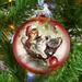 Designocracy Holiday Splendor Christmas Kittens Ball Ornament Glass in Gray/Red | 3.5 H x 3 W x 3 D in | Wayfair 71101-1607
