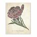 August Grove® 'Botanical Carnation Flower Red Green' Graphic Art Print Canvas, Wood | 13" H x 19" W x 0.5" D | Wayfair