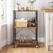 Foundry Select Bryli Kitchen Cart Wood in Brown | 35 H x 23.6 W x 15.7 D in | Wayfair 76C457800B504A63B0A8C2C906A1AA72