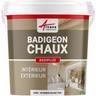 Badigeon à la chaux décoration intérieure extérieur maison badiplus - 20 kg (jusqu'à 100 m²)