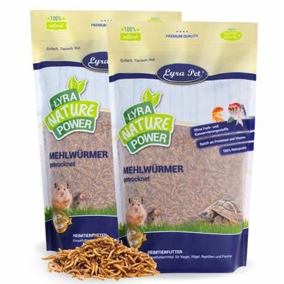 2 kg Lyra Pet Mehlwürmer getrocknet