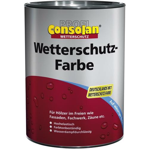 Wetterschutzfarbe 10 l taubenblau 218 Wetterschutz Holzfarbe – Consolan