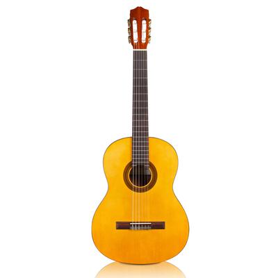 Cordoba Prot(c)g(c) C1 Classical Guitar