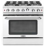 Capital Culinarian Series 36" 4.9 cu. ft. Freestanding Gas Range, Stainless Steel in Gray | 36 H x 35.88 W x 28.5 D in | Wayfair MCR366LP