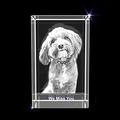 Personalized Custom 3D Photo Engraved Crystal Pet Gift (XL Rectangle)