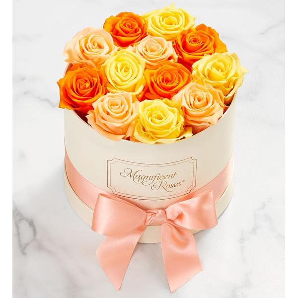 1-800-flowers-flower-delivery-magnificent-roses-preserved-citrus-roses-magnificent-roses-classic-citrus/