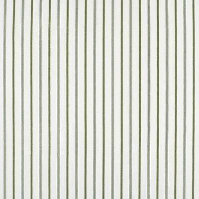 Conley Stripe Fern Fabric By The Yard - Ballard Designs