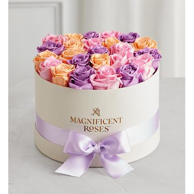 1-800-Flowers Flower Delivery Magnificent Roses Preserved Sorbet Roses Magnificent Roses Premier Sorbet