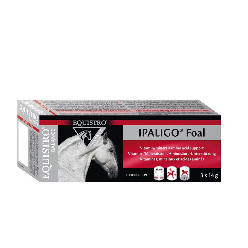 Equistro Ipaligo Foal Erg.Futterm.Paste f.Pferde 3x14 g Paste Image