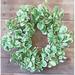 Primrue Varigated Leaf Mint 20"Silk Wreath Silk in Green | 20 H x 20 W x 5 D in | Wayfair 67C3662F6F304E4BA6AF746B15E4FA74