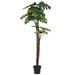 Bay Isle Home™ Artificial Monstera w/ Pot Decorative Monstera Plant Green Plastic | 67 H in | Wayfair 58C9BB355BB648C28F9E131EE782BF9E