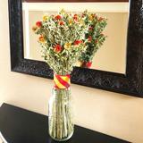 Primrue Safflower Bouquet Mixed Stems Natural Fibers in White | 24 H x 6 W x 5 D in | Wayfair 17A38D5BFA794235B120B1CE08FC3768