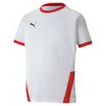 PUMA Kinder teamGOAL 23 Jersey jr Trikot, White Red, 116