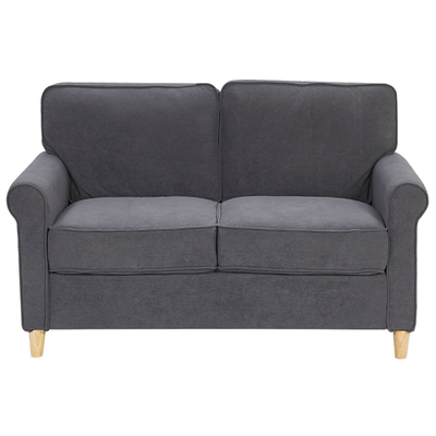 Sofa 2-Sitzer Wohnzimmer Grau Samtstoff 100% Polyester Retro Trendy Modern