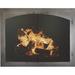 Ebern Designs Acee Cabinet Style Steel Fireplace Door Plastic in Black | 34 H x 35 W x 3 D in | Wayfair 35680B6AAC8C4B73BF84856A24DDDF84