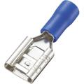 Tru Components - cosse clip 8.0 mm x 0.8 mm FDD2-212 180 ° partiellement isolé bleu 100 pc(s) 737509