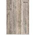 Papier peint Wood'N Stone 2 - SP04502 - Les marron|Les gris